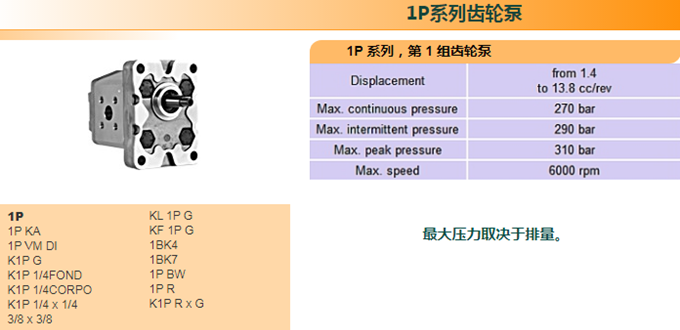 Marzocchi 1P 齿轮泵