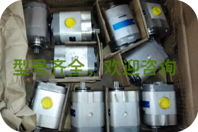 JIHOSTROJ齿轮泵
