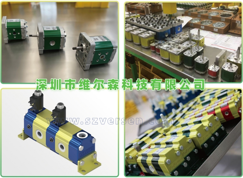 维沃尔VIVOLO高压齿轮泵