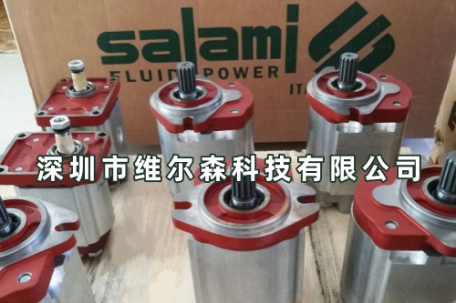 Salami萨拉米齿轮泵